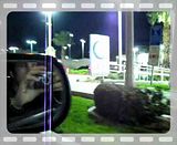 095.flv video by dataxunknown