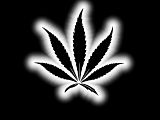 Chrome-Weed.jpg image by laidej