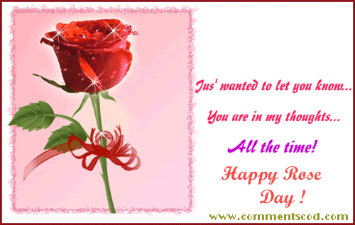 Rose Day Photo Picture