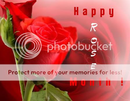 happy rose day quotes. Quotes On Rose Day. quotes for rose day. rose rose day quotes images. happy rose day quotes. Quotes On Rose Day. quotes for rose day. rose