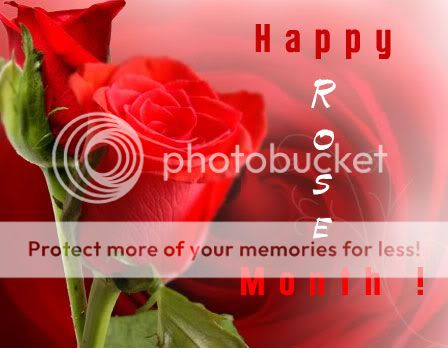 rose day quotes. happy rose day quotes. Quotes On Rose Day. quotes for rose day. rose