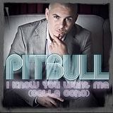 pitbull1.jpg image by nmironoff