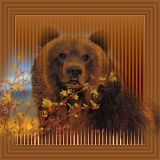 Image522.jpg brown bear image by pascalbear54