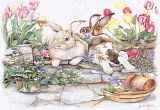 Signs_Of_Spring222.jpg image by pascalbear54