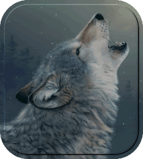 wolf.gif image by pascalbear54