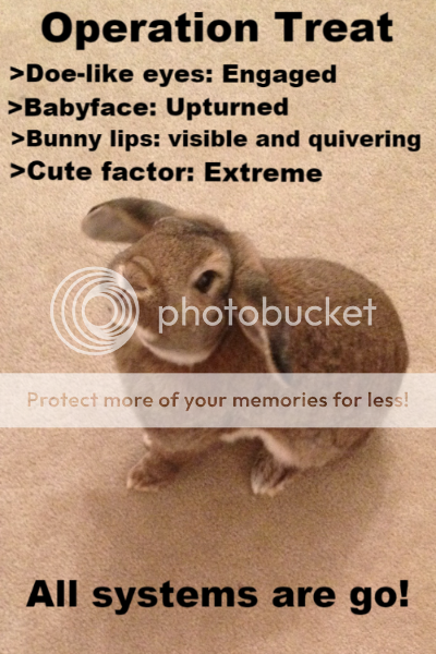  photo 11d6cfa5-f6ed-4a76-a7b2-47c386342b16_zpsqb27rkdd.png