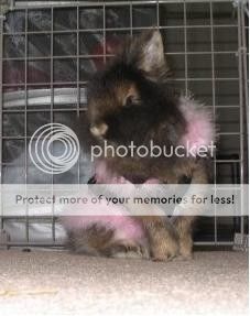 Photobucket Pictures, Images and Photos