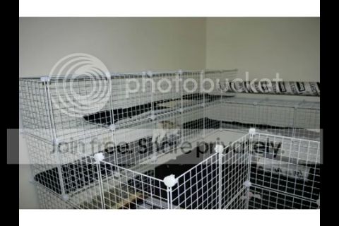 Photobucket Pictures, Images and Photos