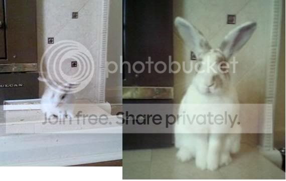 IMG]http://i392.photobucket.com/albums/pp1/dohraime/J2a.jpg[/IMG]