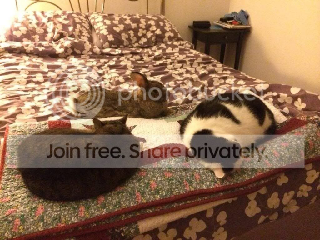  photo image_zps303d7cae.jpg