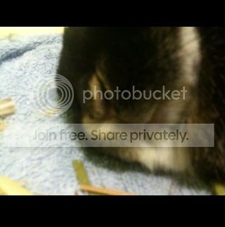  photo image_zps3dd90974.jpg