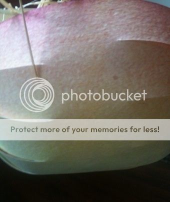  photo image_zps40f25a9a.jpg