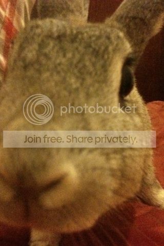  photo image_zps5a7d1398.jpg