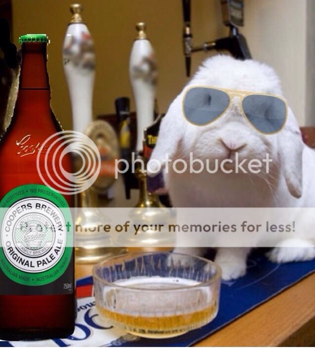 Paaarty photo image_zps88fc052d.jpg