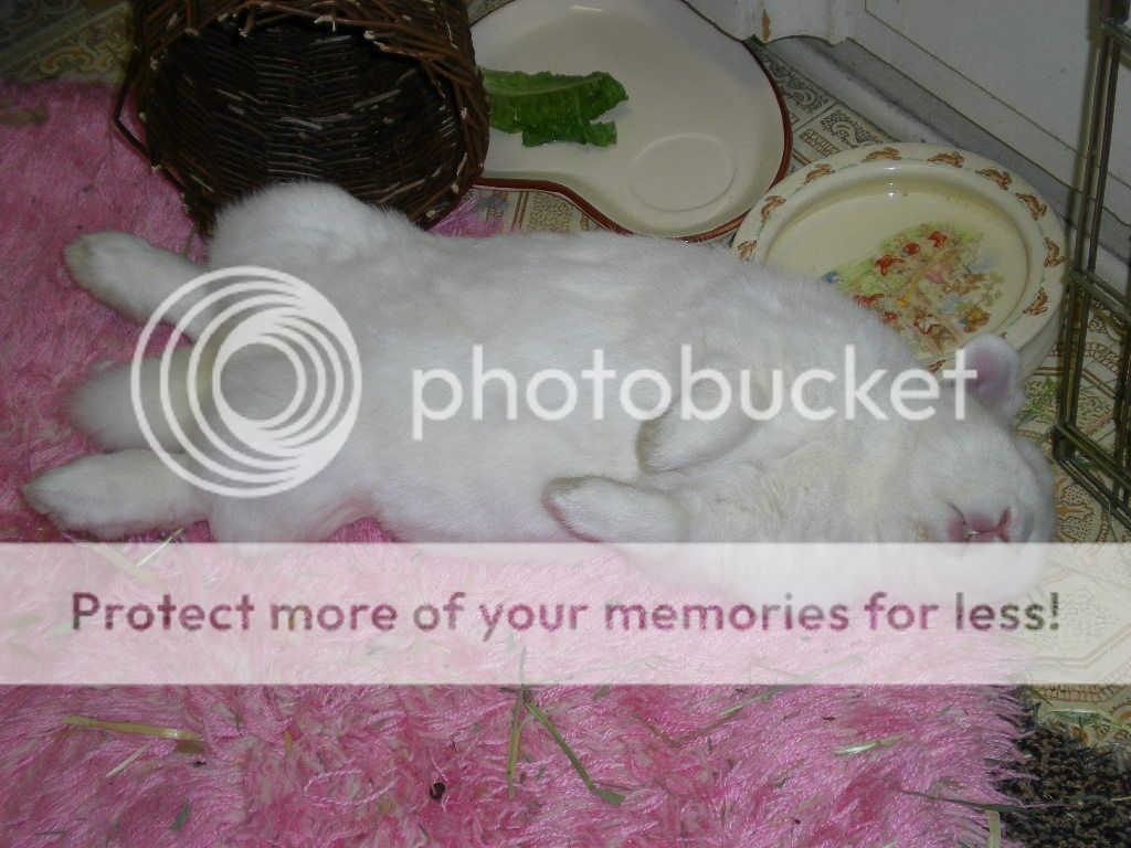  photo image_zps8fb1ecda.jpg