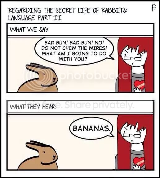  photo image_zps95ddcbc6.jpg