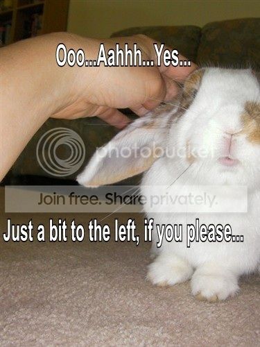  photo image_zpsa26207d2.jpg