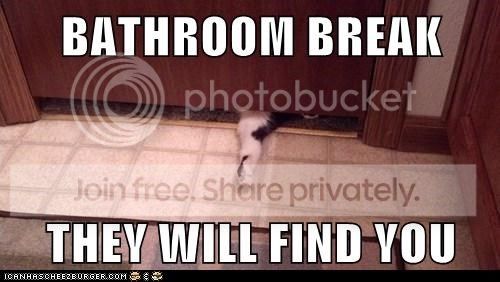  photo image_zpse9c868ff.jpg