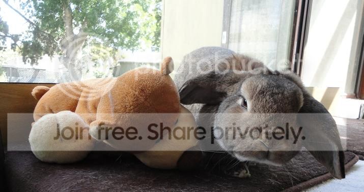  photo Nov2013a_zps757fa777.jpg