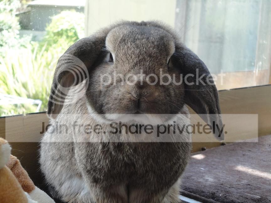  photo Nov2013i_zpsb537cde9.jpg