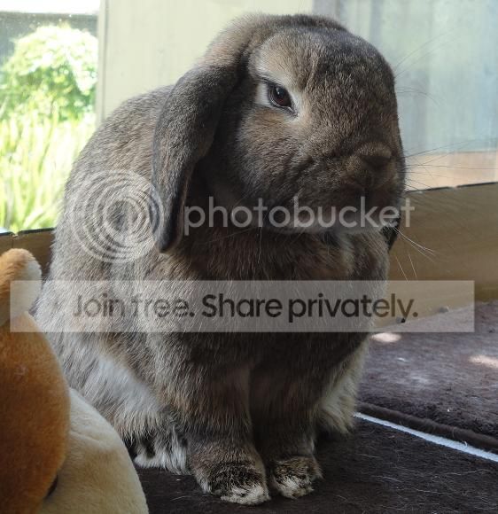  photo Nov2013j_zpsd8f12aa7.jpg