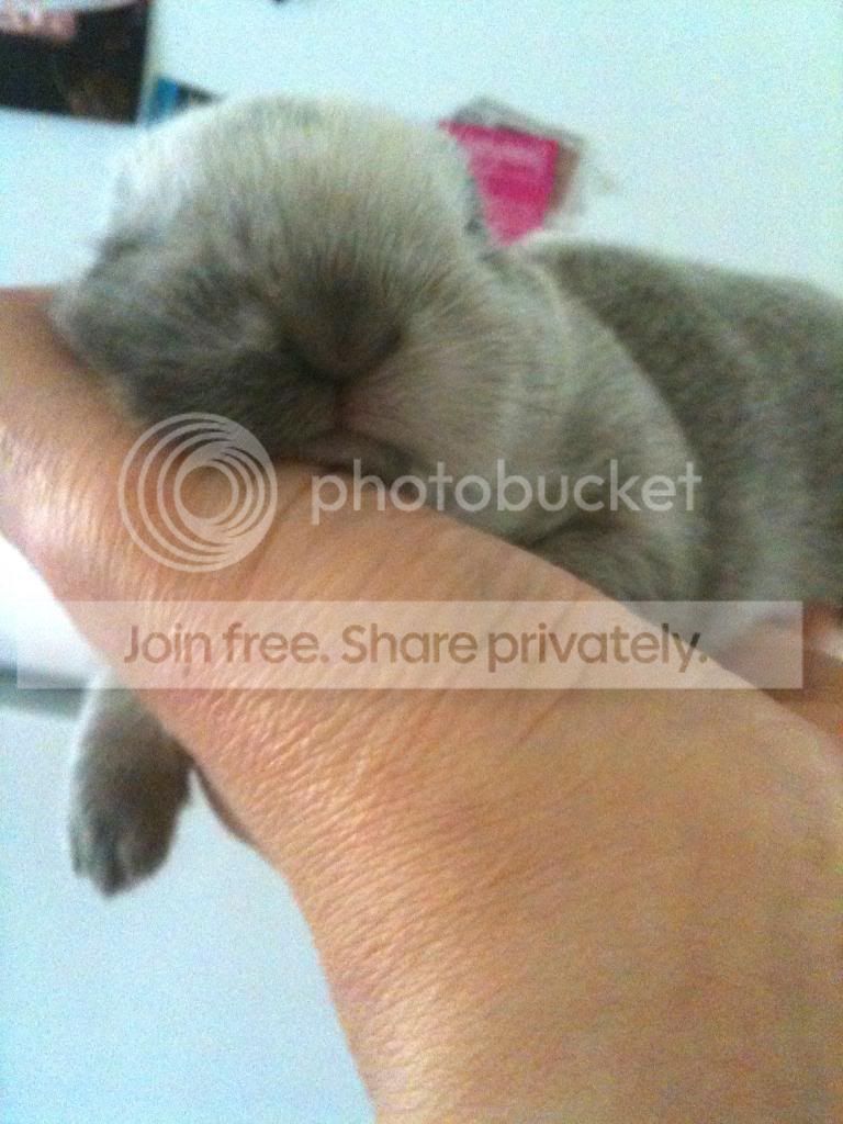  photo MandP010_zps5d792591.jpg