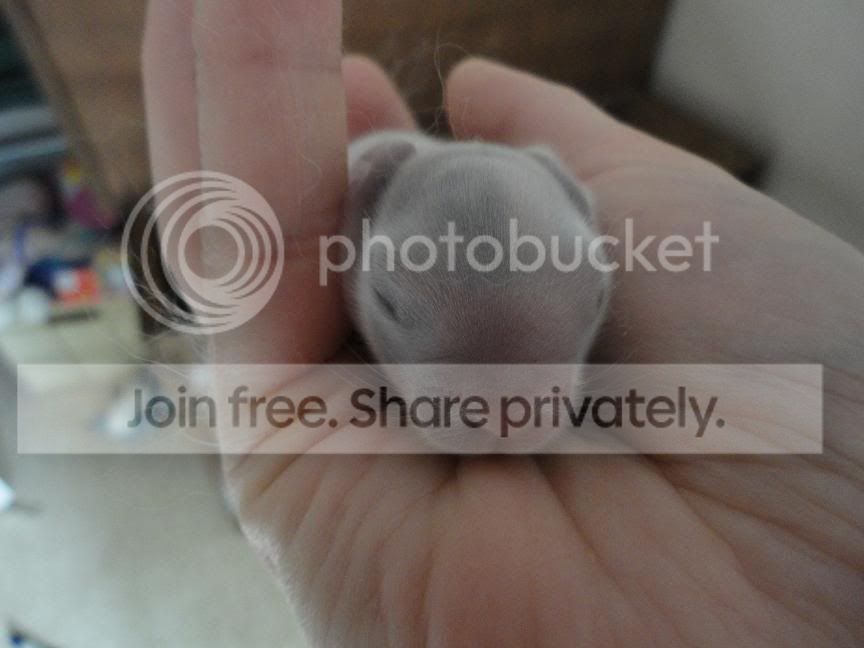 Day 3 photo day3.jpg