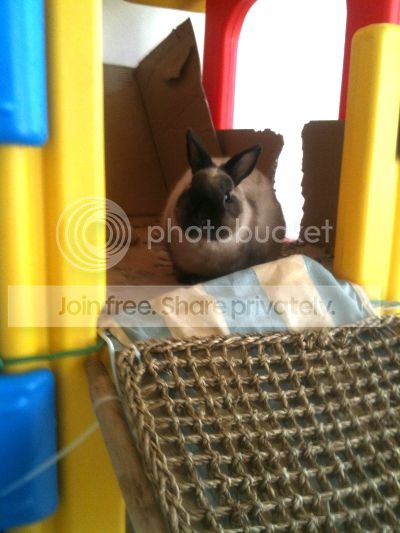  photo image_zps0cee7b91.jpg