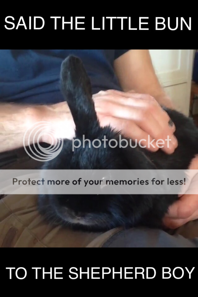  photo image_zpsmmk2taj7.png